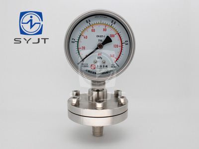Y-100BF/Z/MF(B)/316全不銹鋼隔膜壓力表